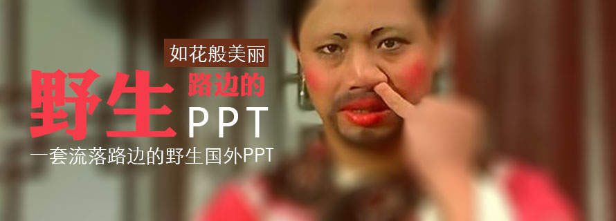 PPT模板|企业&商务：流落路边的国外野生PPT