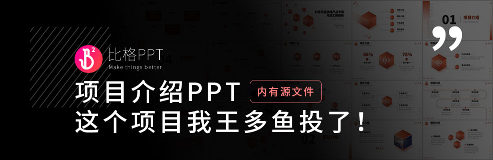 项目介绍PPT：这个项目我王多鱼投了！